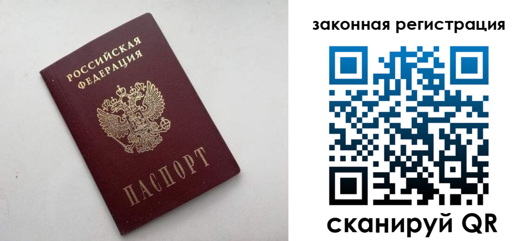 прописка гарантия в Цимлянске